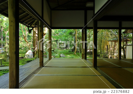 新緑の日本庭園 22376882