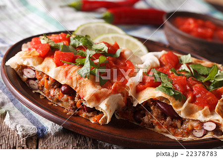 Mexican Food 22378783
