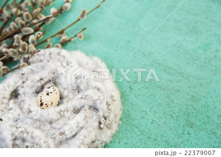 Easter background with nest 22379007