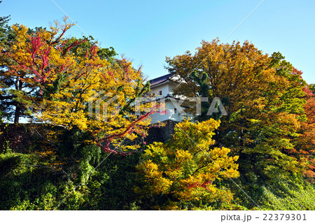 鶴ヶ城の紅葉 鶴ヶ城の紅葉 22379301