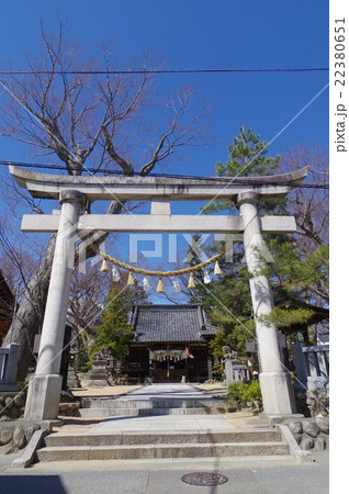 信州 松本の神社 塩竈神社 参道鳥居 縦 塩づくりの神さま 信州 松本の神社 塩竈神社 参道鳥居 縦 塩づくりの神さま 22380651