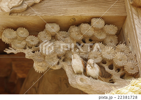 信州　上伊那　箕輪町の長岡神社　拝殿　彫刻　１８０１年建造の本殿は諏訪立川流初代　立川富棟の作品 22381728
