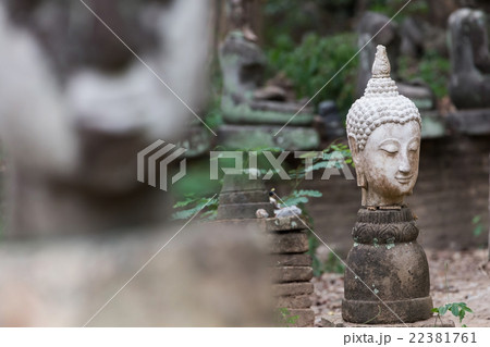 buddha statue in wat umong, chiang mai 22381761