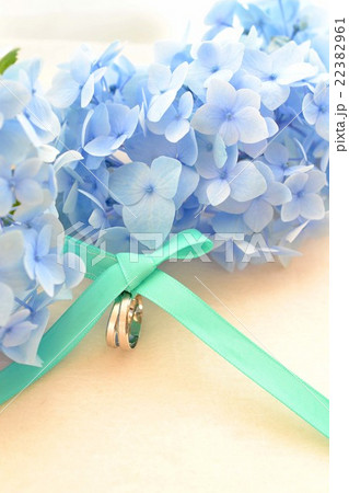 紫陽花と結婚指輪 紫陽花と結婚指輪 22382961