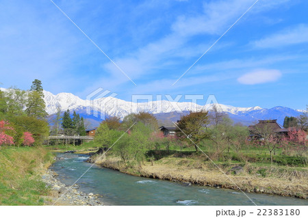 信州・長野県白馬　北アルプスと桜の風景 22383180