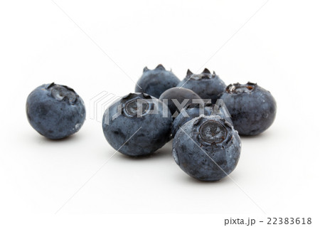 水滴付きブルーベリー（品種：スター）:Blueberry (cv. Star) 22383618
