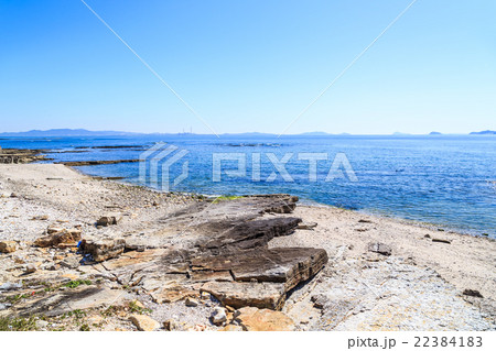 佐久島　南浦 22384183