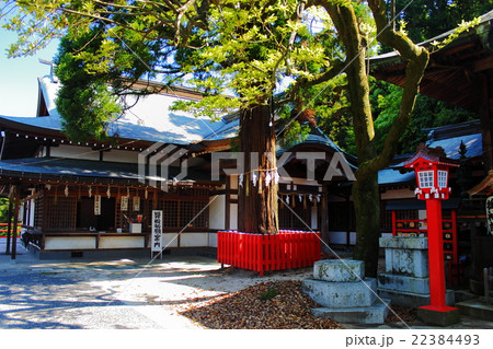 行橋の今井津須佐神社と大祖大神社 22384493