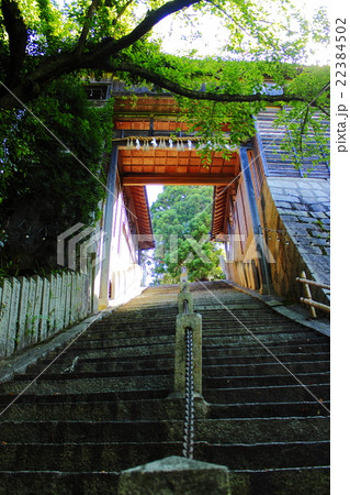 行橋の今井津須佐神社と大祖大神社 22384502