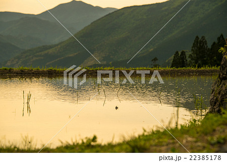 丸山千枚田 22385178