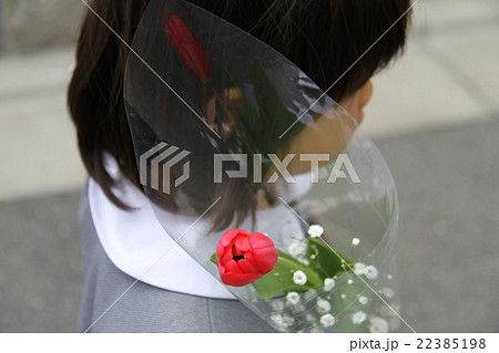 卒園式の幼稚園児と花 22385198