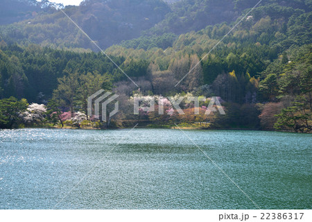 半田山自然公園 半田山自然公園 22386317