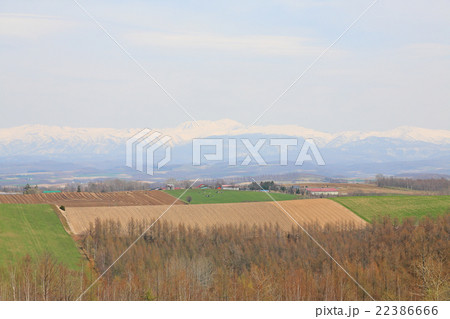 春の美瑛町の景色 22386666