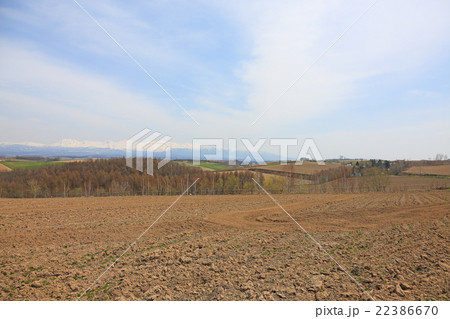 春の美瑛町の景色 22386670