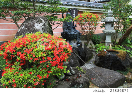 当麻寺春の庭園 22386875