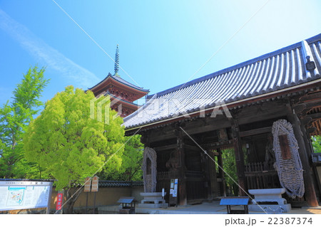志度寺 五重塔 仁王門 志度寺 五重塔 仁王門 22387374