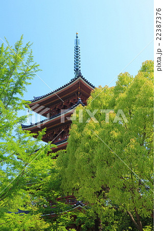 志度寺 五重塔 志度寺 五重塔 22387376