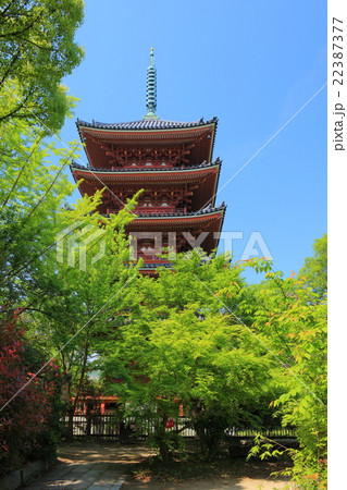 志度寺 五重塔 志度寺 五重塔 22387377