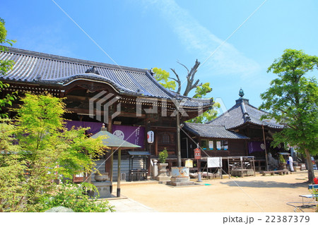 志度寺　本堂 22387379