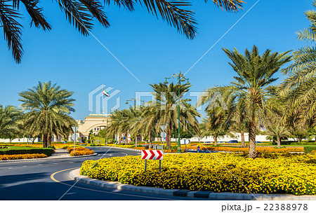 Garden near Zabeel Palace in Dubai, UAE 22388978
