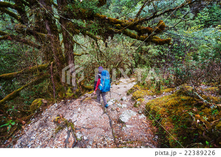 Hike in Nepal jungle 22389226