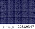 背景　エレガント 22389347