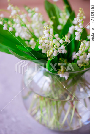 a bouquet of small white flower lily of the valley a bouquet of small white flower lily of the valley 22389763