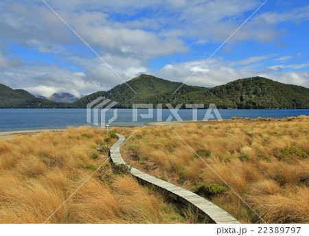 Landscape in the Fjordland National Park 22389797