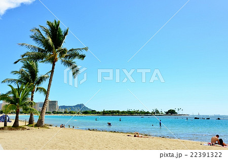 ハワイの休日 ハワイの休日 22391322