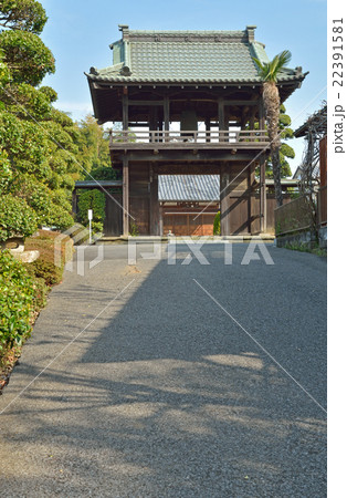 見沼田圃：総持院　真言宗智山派 22391581