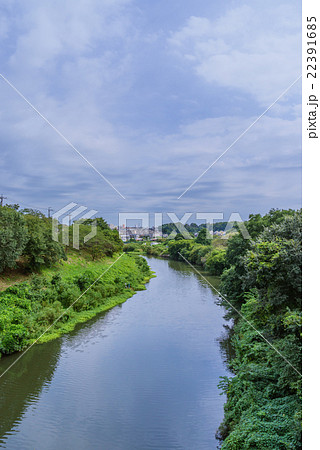 夏の花見川の風景 夏の花見川の風景 22391685