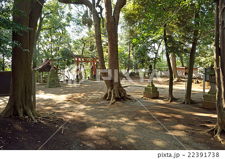 見沼田圃：氷川女体神社　境内 22391738