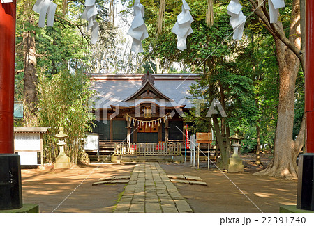 見沼田圃：氷川女体神社　社殿 22391740