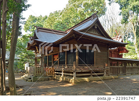 見沼田圃：氷川女体神社　社殿 22391747