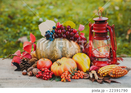 Cozy autumn still life Cozy autumn still life 22391790