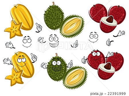 Cartoon thai lychees, durian and carambola fruits Cartoon thai lychees, durian and carambola fruits 22391999