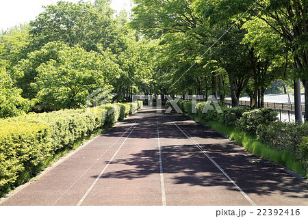 小布施総合公園 22392416