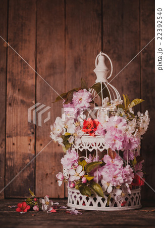 Bird cage with wooden heart 22392540