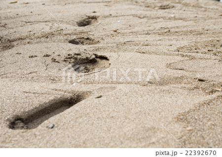 砂浜の足跡 22392670