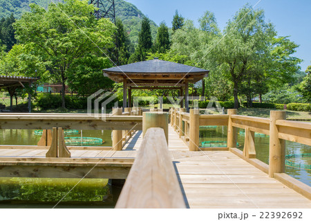 南越前町の花はす公園 22392692