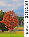 麓の秋２ 22392896