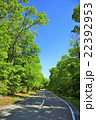 別荘地・春の道１ 22392953