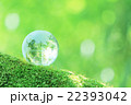 森の中の地球儀 22393042