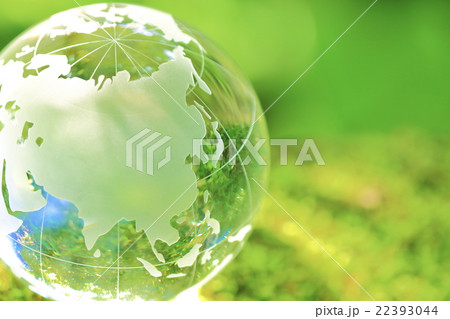 森の中の地球儀 22393044