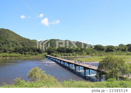 四万十川の佐田沈下橋 22393514