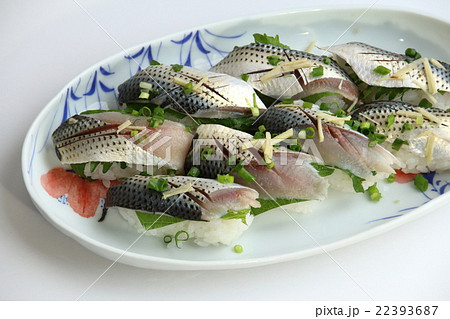 コノシロ鮨 22393687