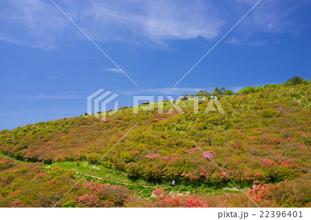 大和葛城山 大和葛城山 22396401