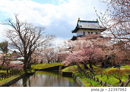 松前城+桜1 松前城+桜1 22397062