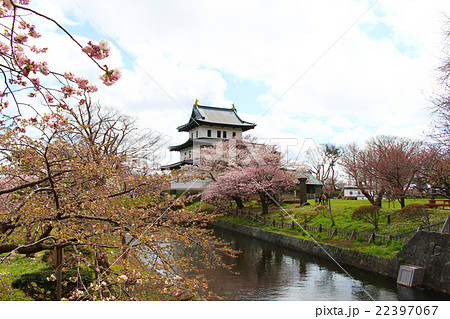 松前城+桜6 22397067