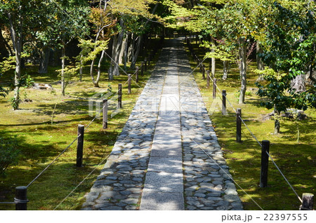 鹿王院の庭園（京都市右京区嵯峨北堀町） 22397555